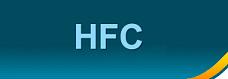 Hongli Fuxing Corp.